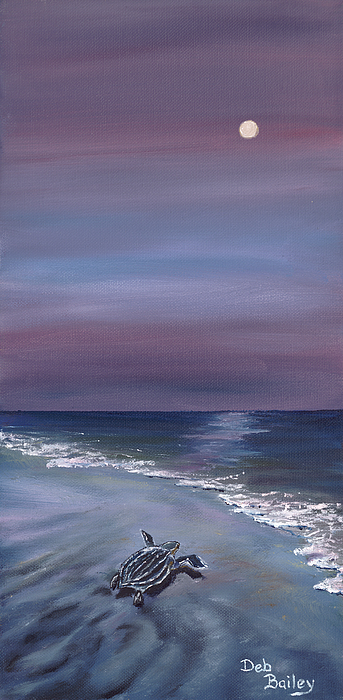 Determination by Debra Bailey Determination by Debra Bailey